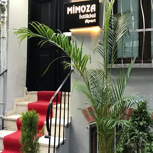 Mimoza Istiklal Estambul